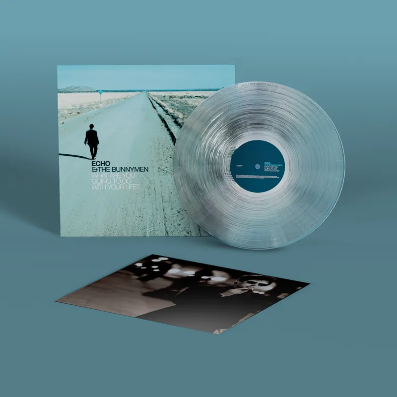 ECHO & THE BUNNYMEN - What Are You Going To Do With Your Life? -Vinyl LP Next Day Delivery