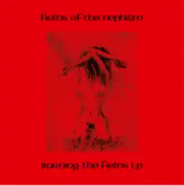 Seasonal Sale FIELDS OF THE NEPHILIM - Burning The Fields - Double Green Vinyl LP