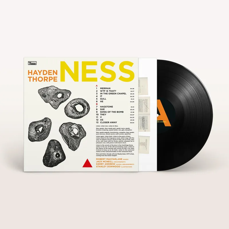 HAYDEN THORPE - Ness - Vinyl LP Flash Sale