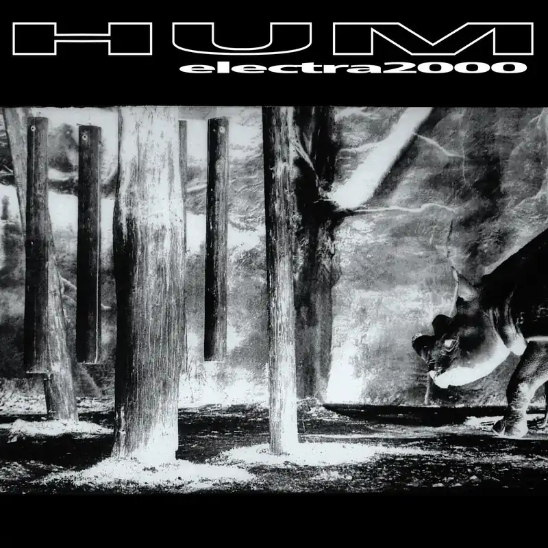 HUM - Electra 2000 - Double Vinyl LP Affordable