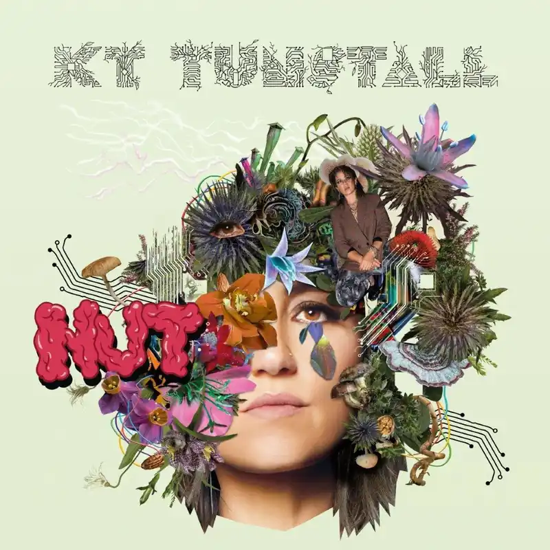 Factory Price KT TUNSTALL - Nut - Green Vinyl LP