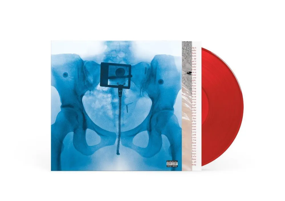 Hassle-Free Returns LORDE - Virgin - Vinyl LP