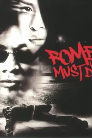 Modern ROMEO MUST DIE - Official Motion Picture Soundtrack - Vinyl LP