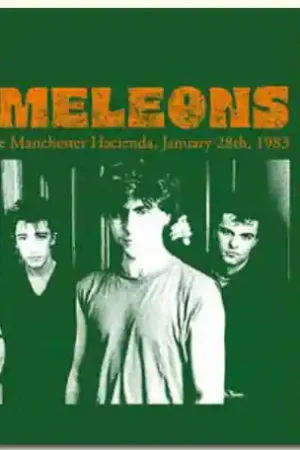 Hassle-Free Returns THE CHAMELEONS - Recorded Live At The Manchester Hacienda, January 26th 1983 - Vinyl LP