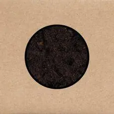 THE SWANS - Birthing - Triple Vinyl LP plus DVD set New Arrival