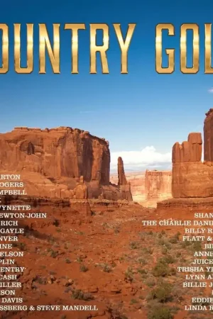 VARIOUS ARTISTS - Country GOLD - Double Vinyl LP Top Pick