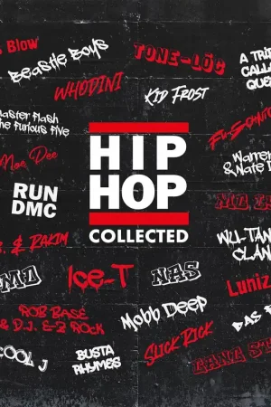 Various Artists / Hip Hop Collected (2LP Black) High Quality