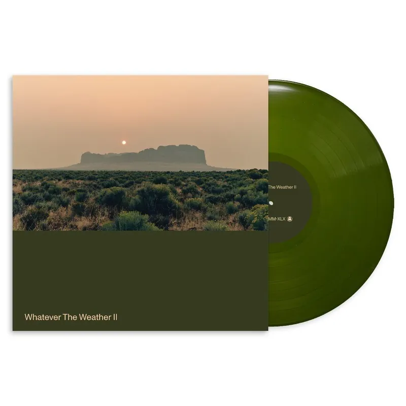 Big Sale WHATEVER THE WEATHER - Whatever The Weather II - Vinyl LP
