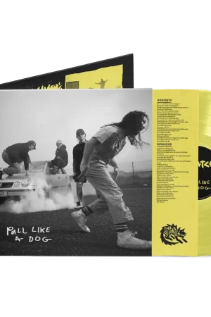 **PRE-ORDER** THE SCRATCH - Pull Like A Dog - Vinyl LP Secure Checkout