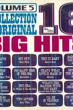 A Collection Of 16 Original Big Hits Vol 5 Vinyl Record LP Tamla Motown 1966 Free Delivery