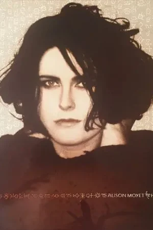 Exclusive Offer ALISON MOYET Hoodoo Vinyl Record Vinyl Record LP Columbia 1991