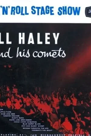 BILL HALEY AND HIS COMETS Rock N Roll Stage Show Vinyl Record LP Brunswick 1956 One Day Deal