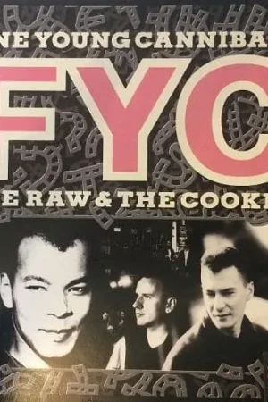 Save Now FINE YOUNG CANNIBALS The Raw & The Cooked Vinyl Record LP London 1988
