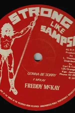 Best Seller FREDDIE McKAY Gonna Be Sorry Vinyl Record 12 Inch Strong Like Sampson 1979