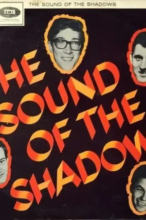 THE SHADOWS The Sound Of The Shadows Vinyl Record LP Columbia 1965 Instant Buy