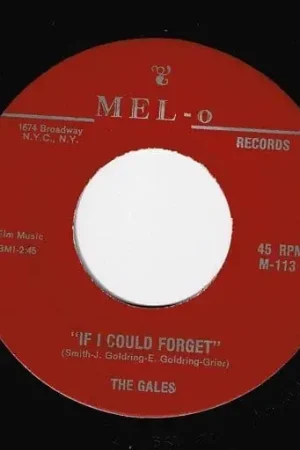 THE GALES If I Could Forget Vinyl Record 7 Inch US Mel-O New Release