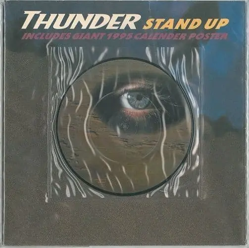 Hot Picks THUNDER Stand Up Vinyl Record 7 Inch EMI 1994 Picture Disc