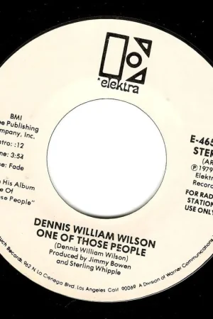 DENNIS WILLIAM WILSON One Of Those People Vinyl Record 7 Inch US Elektra 1979 Promo Mega Sale