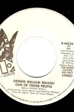 Secure Checkout DENNIS WILLIAM WILSON One Of Those People Vinyl Record 7 Inch US Elektra 1979 Promo