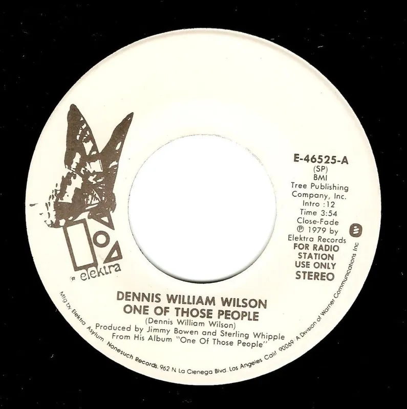 Secure Checkout DENNIS WILLIAM WILSON One Of Those People Vinyl Record 7 Inch US Elektra 1979 Promo