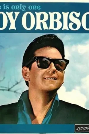 Handmade ROY ORBISON There Is Only One Roy Orbison Vinyl Record LP London 1965