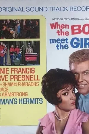 When The Boys Meet The Girls - The Original Soundtrack Recording Vinyl Record LP MGM 1965 Best Seller