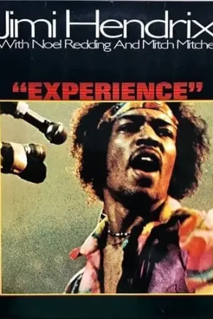 Luxury JIMI HENDRIX Original Sound Track Experience Vinyl Record LP German Ariola 1971