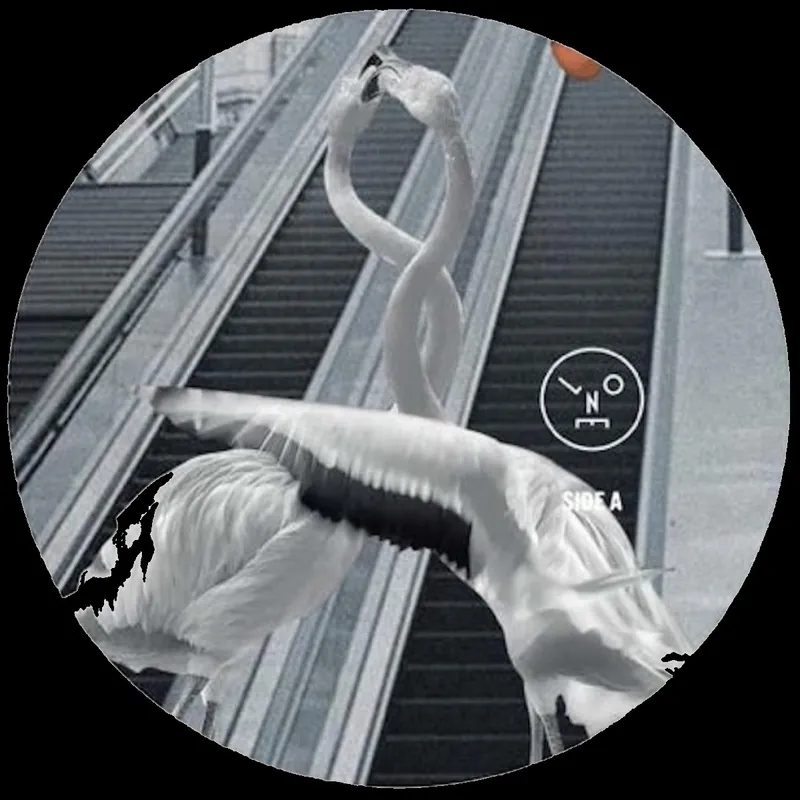 Grab Now Sasha / Saiz, Henry Love Is All You Need Last Night On Earth vinyl record