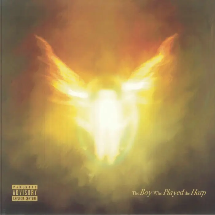 Dave The Boy Who Played The Harp (Gold Vinyl) Neighbourhood Recordings vinyl record Warranty Included