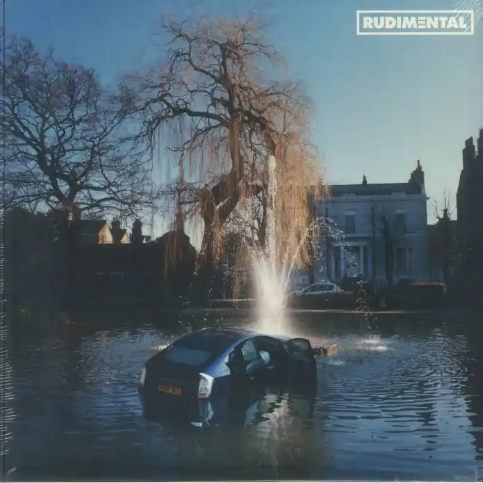 No Minimum Order Rudimental Rudim3ntal Columbia vinyl record