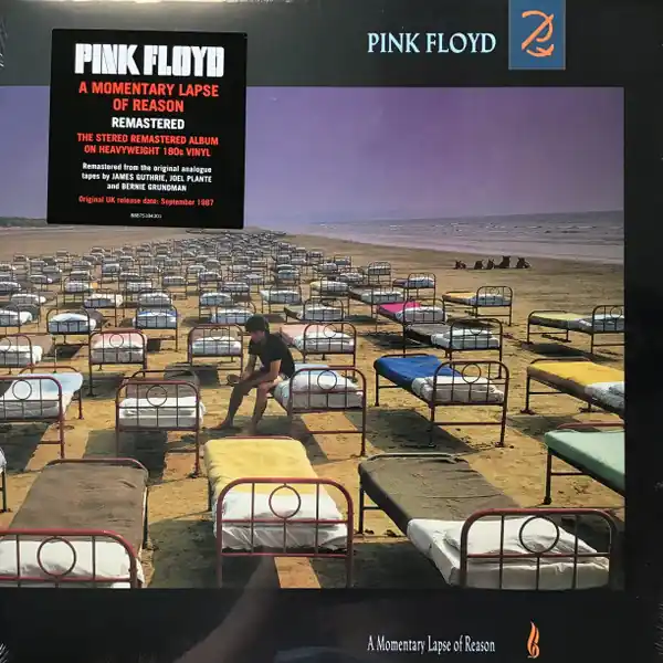 Express Delivery Pink Floyd A Momentary Lapse Of Reason Columbia vinyl record