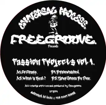 Fan Favorite Freegroove Passion Projects Vol 1 lUnivers Process Records vinyl record