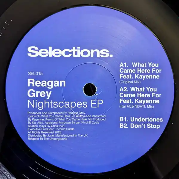 Reagan Grey Nightscapes EP Selections vinyl record Buy Today