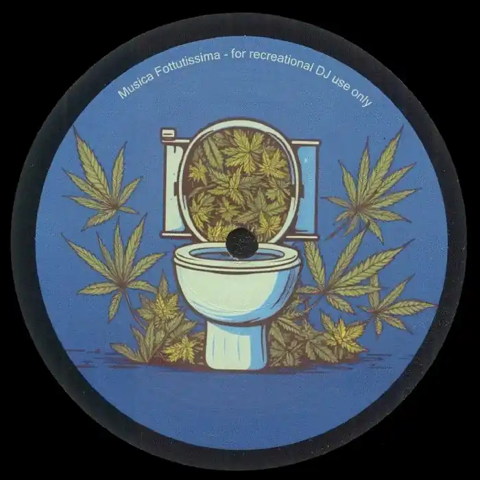 Best Seller Spun, DJ Bathroom Breaks Musica Fottutissima vinyl record