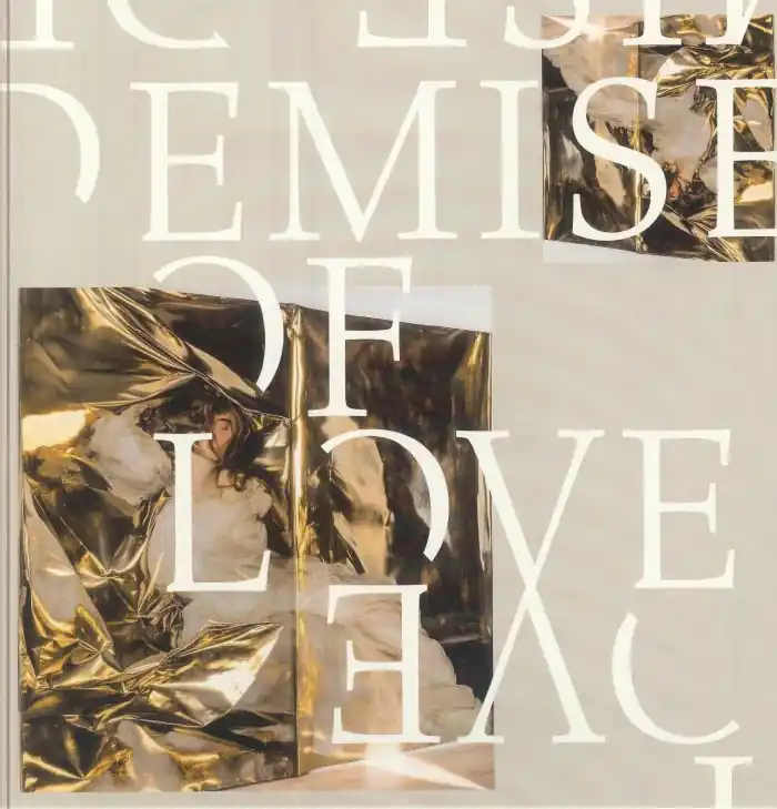 Demise Of Love Demise Of Love EP Domino vinyl record Wholesale