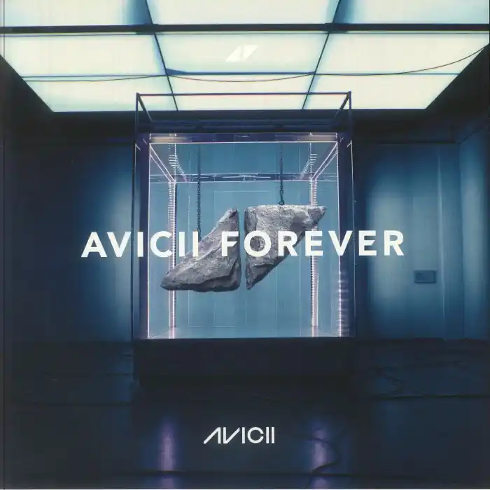 Budget Avicii Avicii Forever Positiva vinyl record