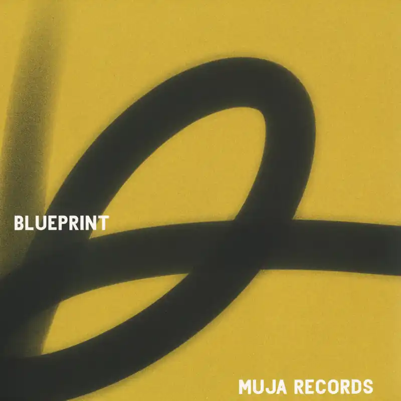 New Arrival Various Artists Blueprint Muja vinyl record