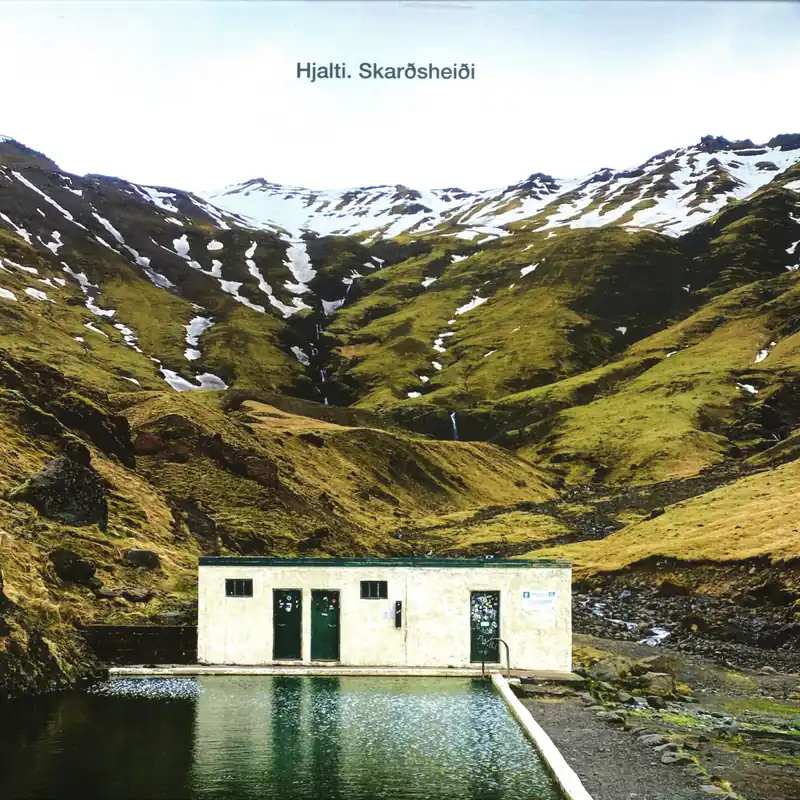 Hjalti Skardsheidi Either Recordings vinyl record In Demand