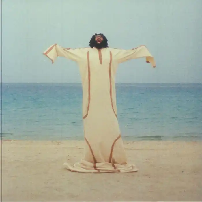 Shop Now Elmiene Anyway I Can Polydor vinyl record