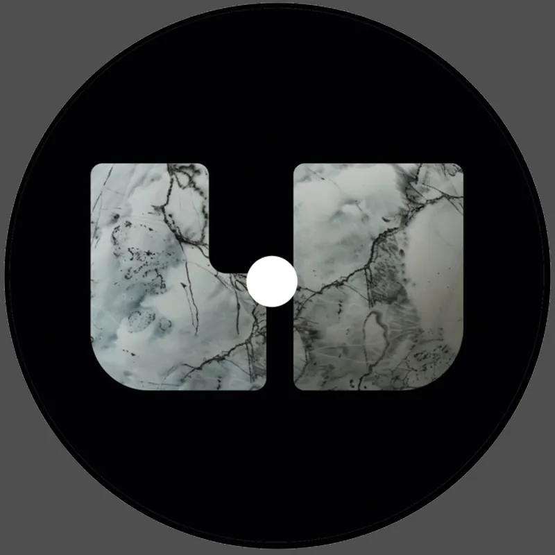 One Day Deal Unknownuu010 Unknown Untitled vinyl record