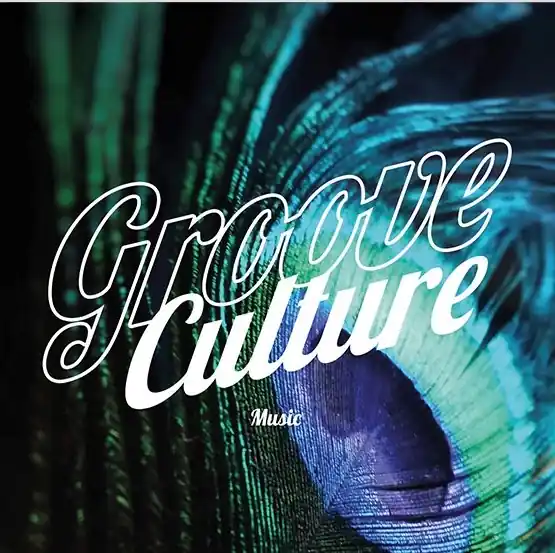 Crafted Micky More & Andy Tee Is It Love You’re After Groove Culture Music vinyl record