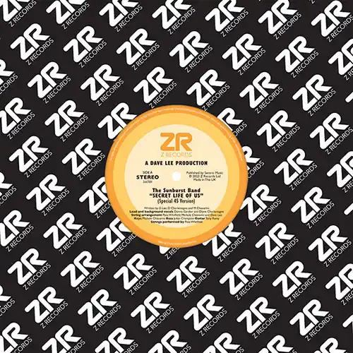 Top Rated Sunburst Band, The / Dave Maurissa Secret Life Of Us / Look At The Stars Z Records vinyl record