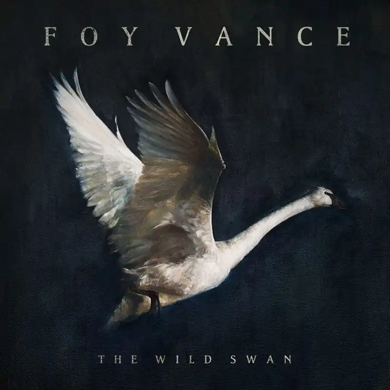 Foy Vance The Wild Swan Gingerbread Man vinyl record Deal