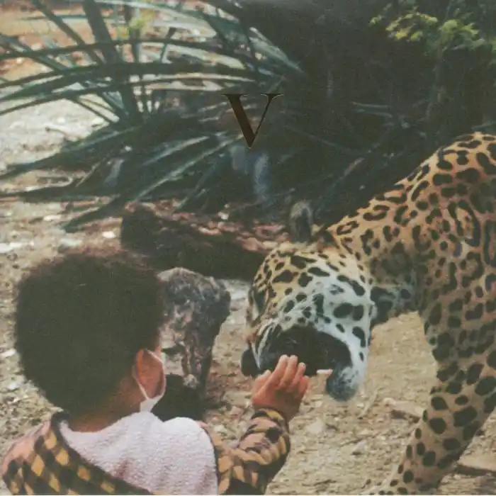 Price Drop Unknown Mortal OrchestraV - Gold Vinyl Version jagjaguwar vinyl record