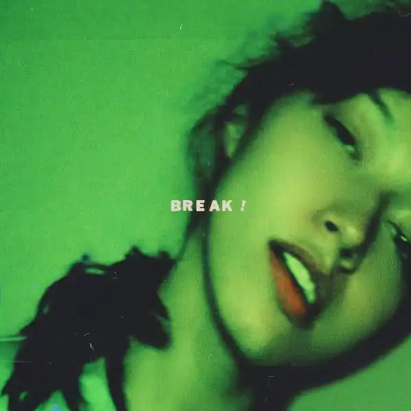 Fazerdaze Break Sectioned Recordings vinyl record Price Drop