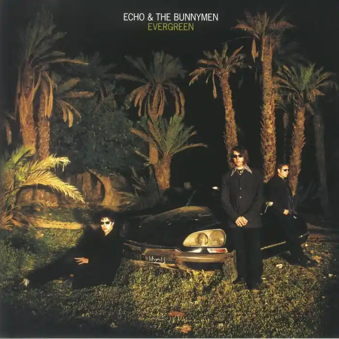 Wholesale Echo & The Bunnymen Evergreen Rough Trade vinyl record