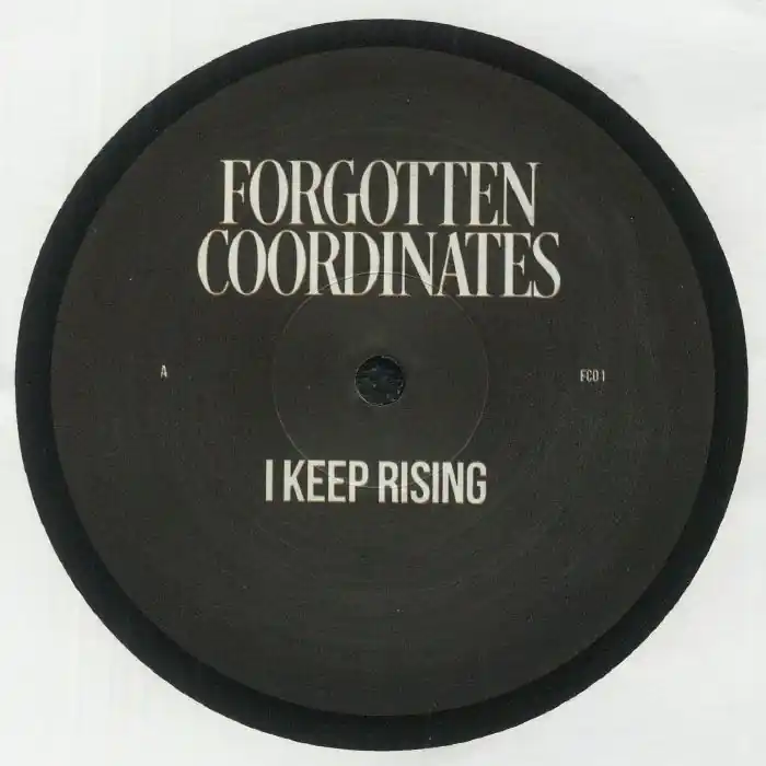 Seasonal Sale UnknownI Keep Rising Forgotten Coorduinates vinyl record