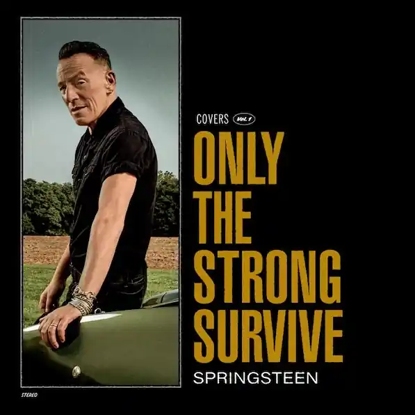 Luxury Springsteen, Bruce Only The Strong Survive Sony BMG vinyl record