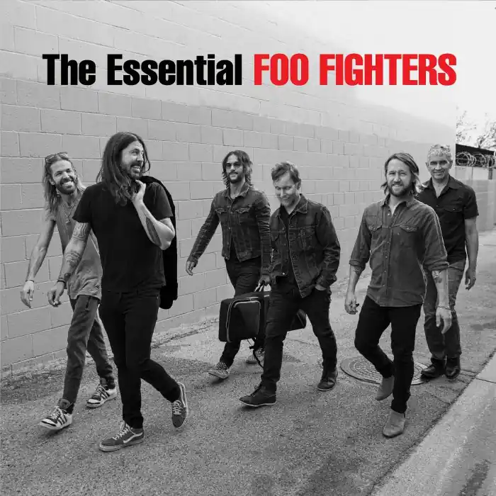 Grab Now Foo Fighters The Essential Foo Fighters Sony vinyl record