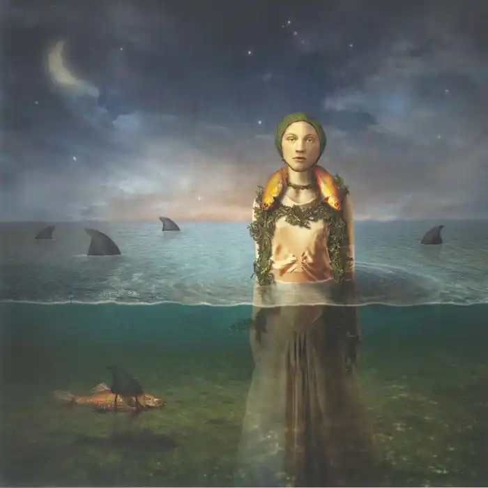 Bled, The Found In The Flood (25th Anniversary Edition)Hassle Records vinyl record Final Sale